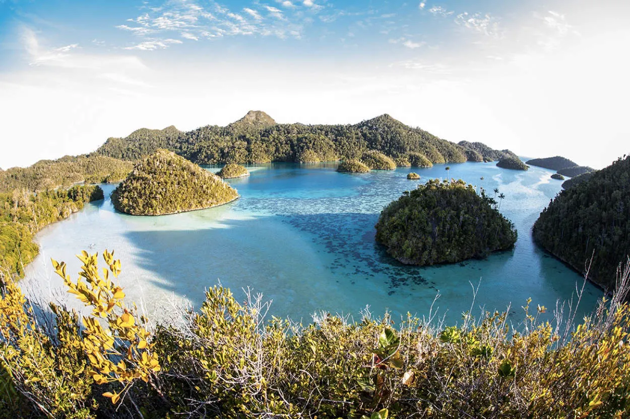 Rekomendasi Tempat Wisata di Raja Ampat yang Harus Anda Coba